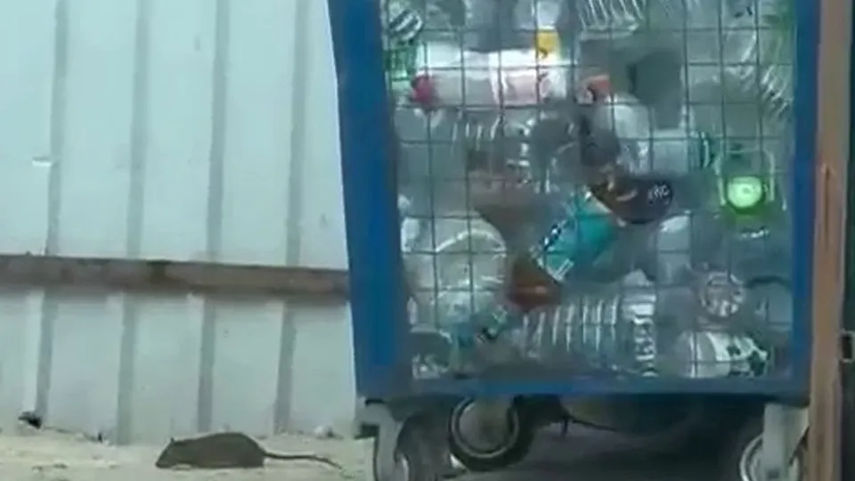 Фото: t.me/odintsovo_info