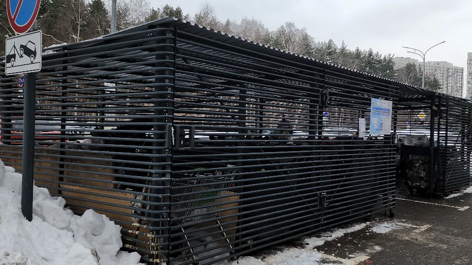 Фото: МедиаБанк Подмосковья/Ольга Фельдфебелева