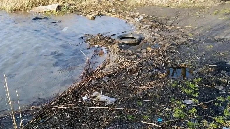 В Щелково завалили мусором зону отдыха