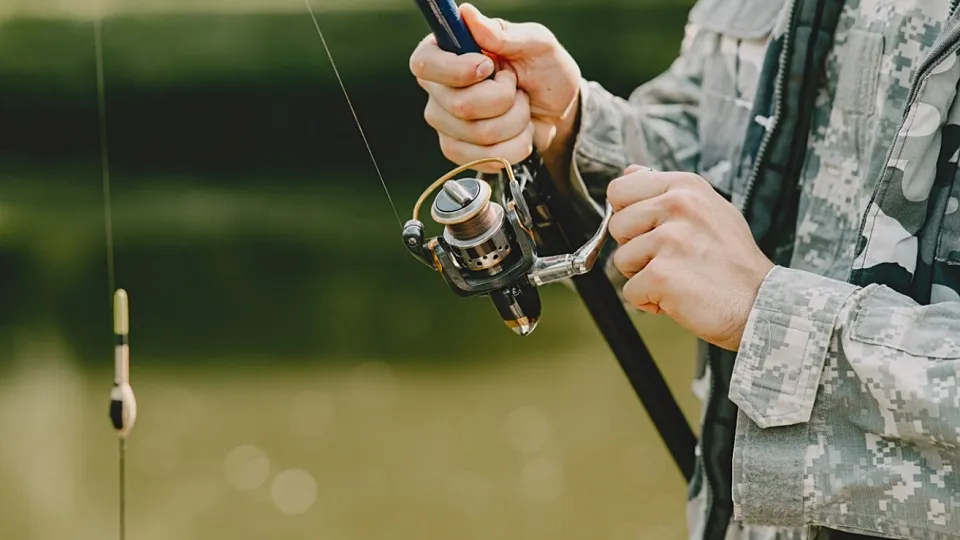 Фото: freepik.com