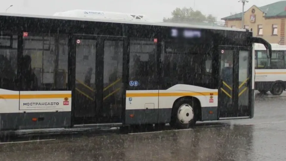 Фото: REGIONS/Василий Тремасов