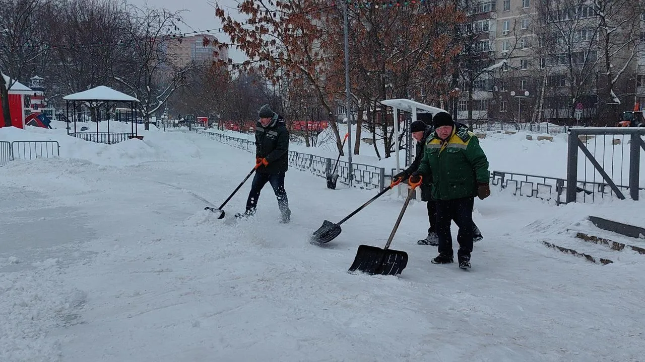 Елена Катасонова