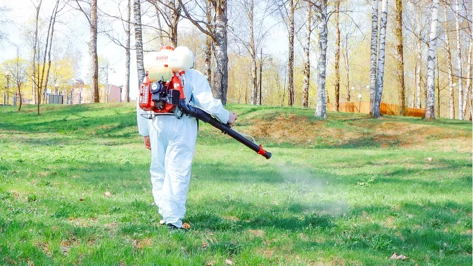 Фото: МедиаБанк Подмосковья/Данила Кирьянов