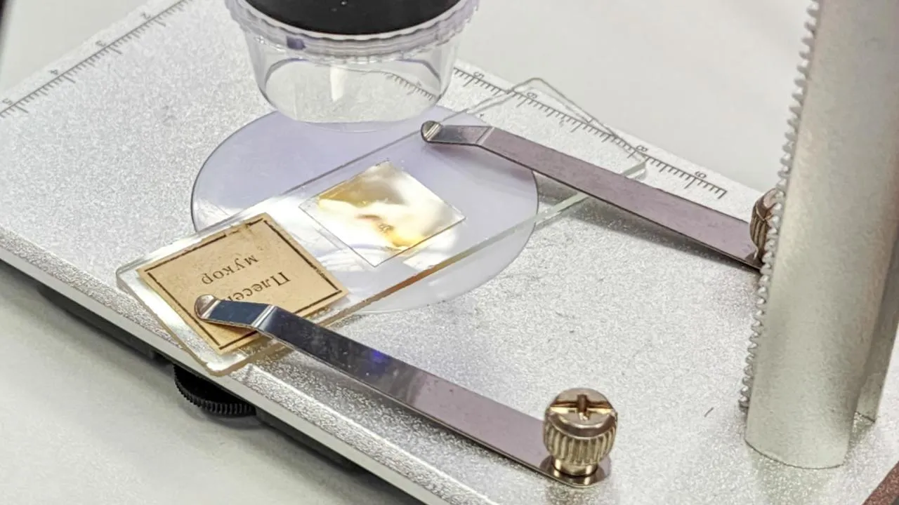 REGIONS/Мария Андрюхина