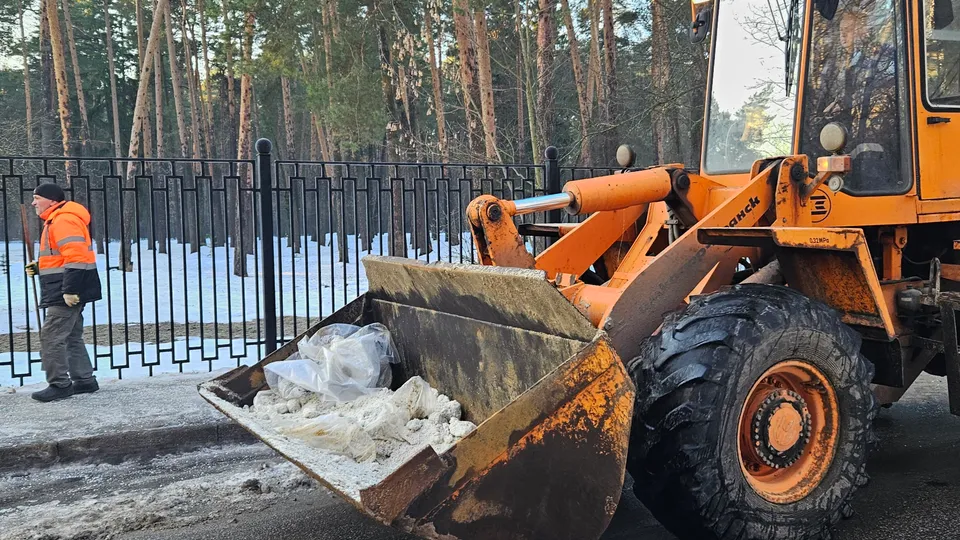 Фото: МедиаБанк Подмосковья/Ольга Вельшикаева