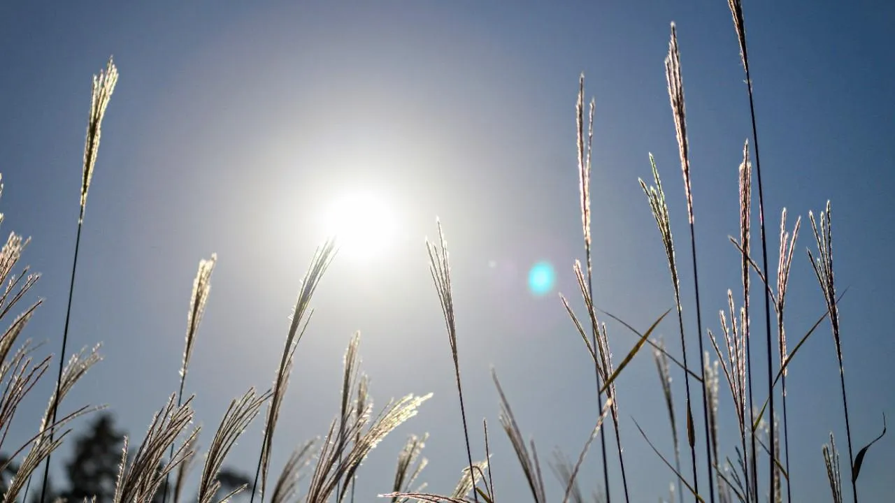 медиасток.рф