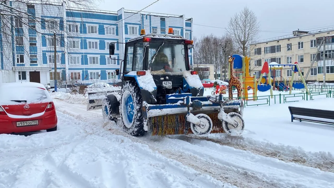 Дарья Шапочкина