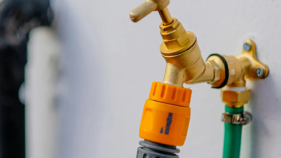 Фото: unsplash.com