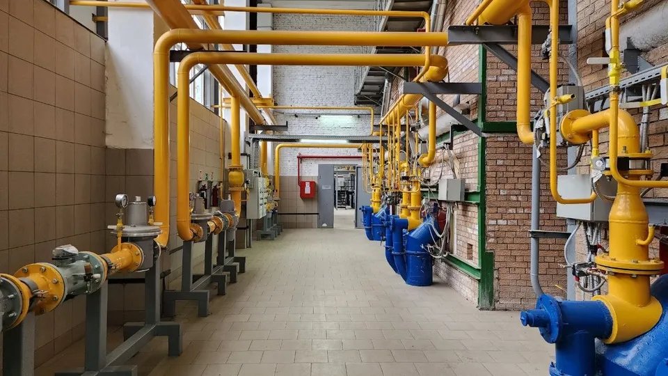 Фото: МедиаБанк Подмосковья/Яна Шаливская