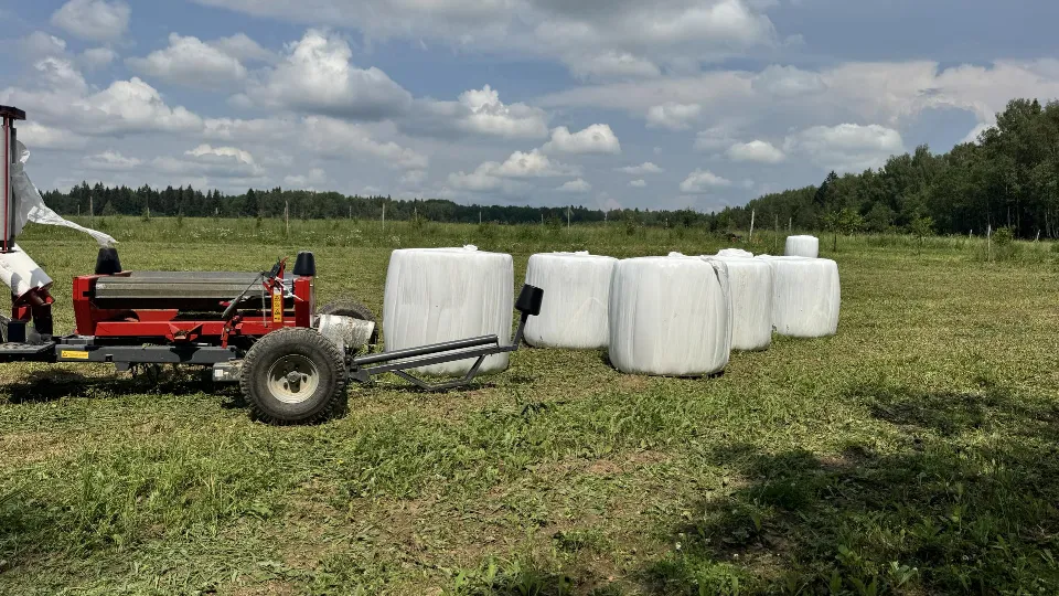 Фото: REGIONS/Татьяна Рунова