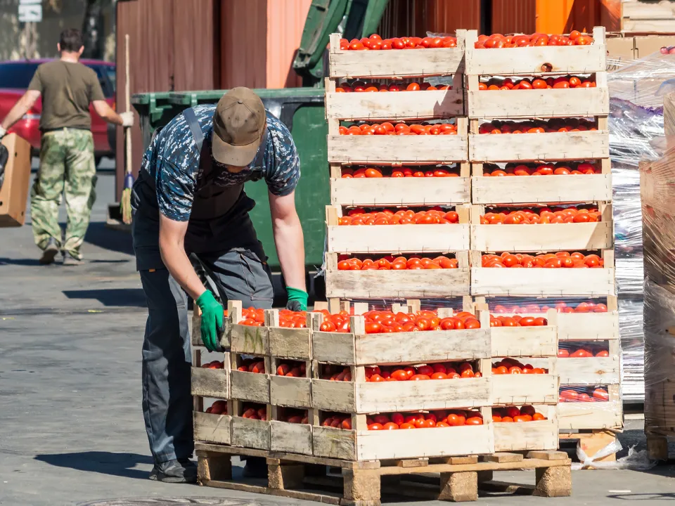 Фото: istockphoto.com/Anton Novikov