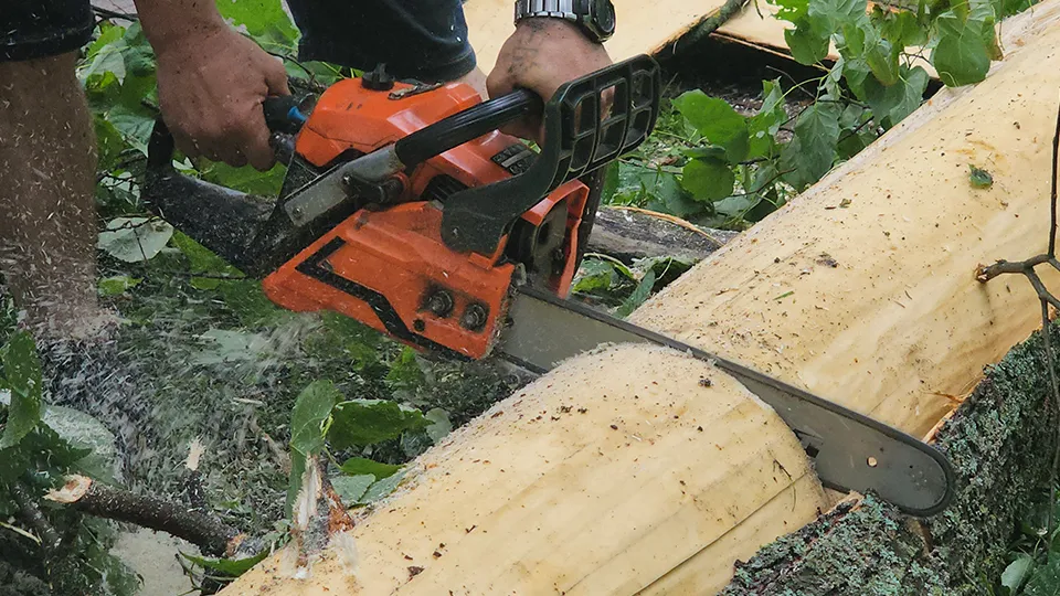 Фото: МедиаБанк Подмосковья/Екатерина Морозова