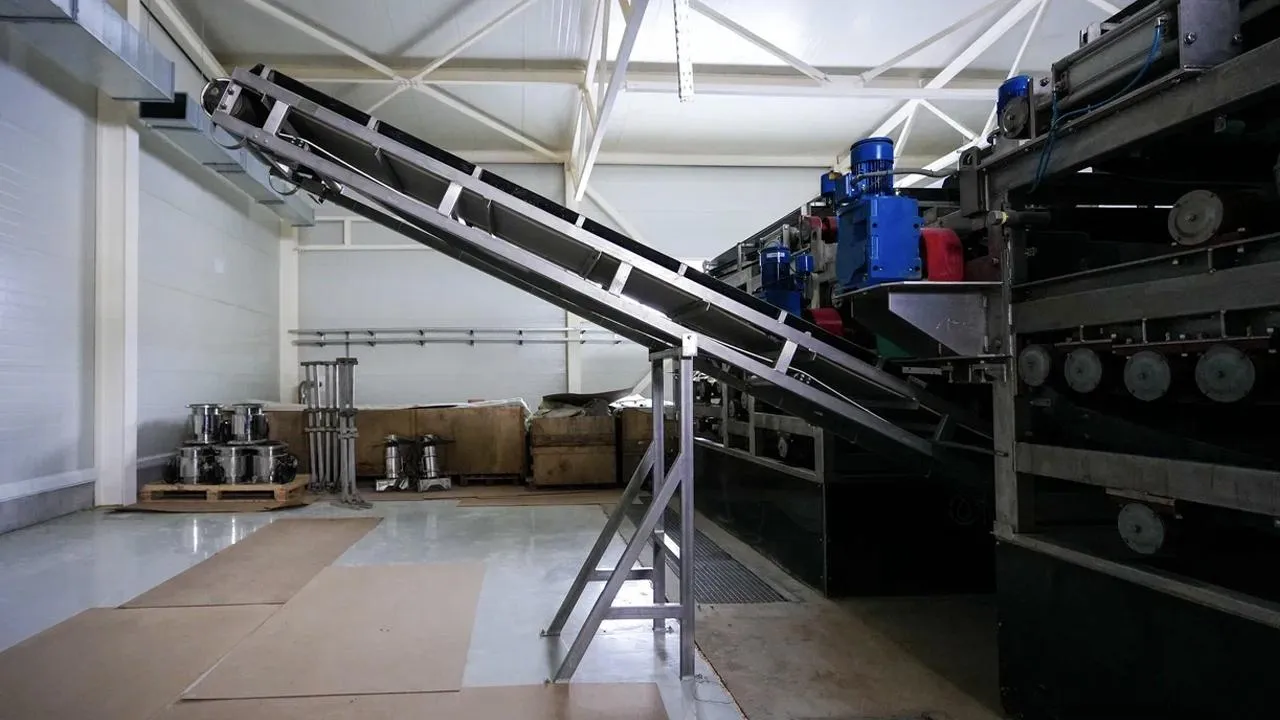 пресс-служба губернатора и правительства Московской области/Александра Степанова