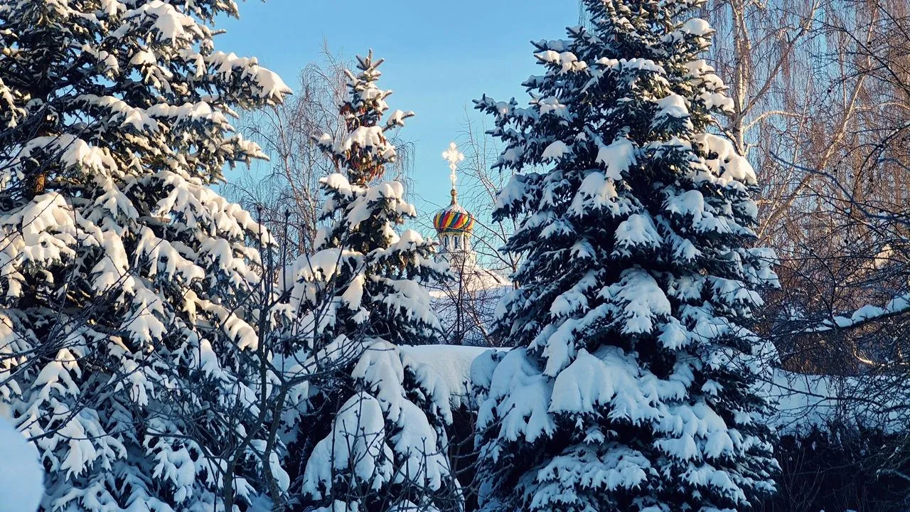 REGIONS/Алексей Селиверстов