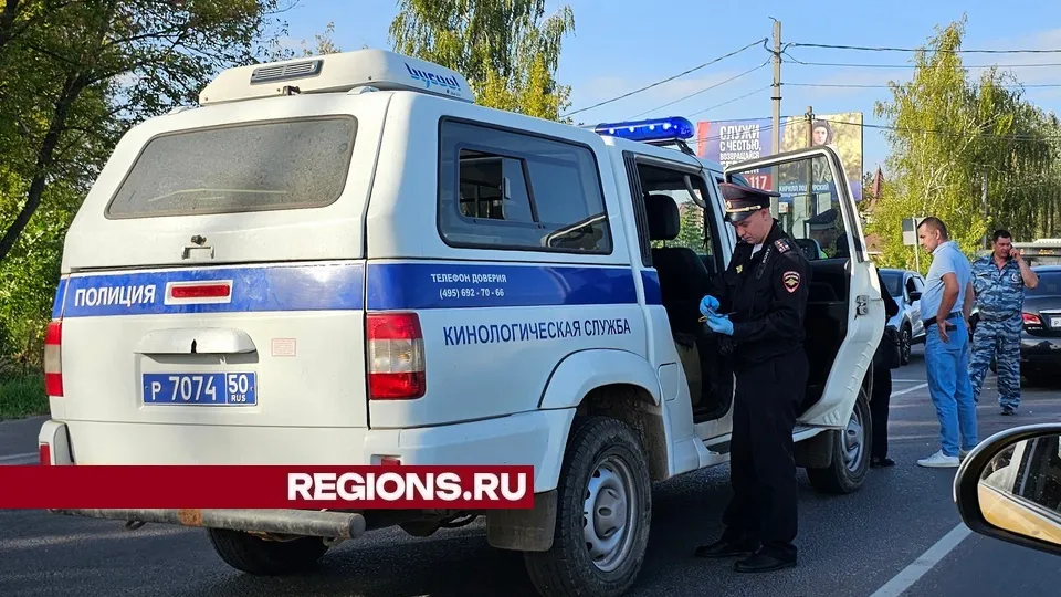 Фото: REGIONS/Александр Дрожжин