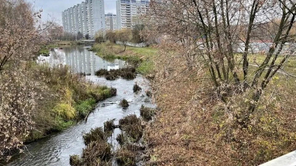 Фото: сайт федерального проекта «Формирование комфортной городской среды»