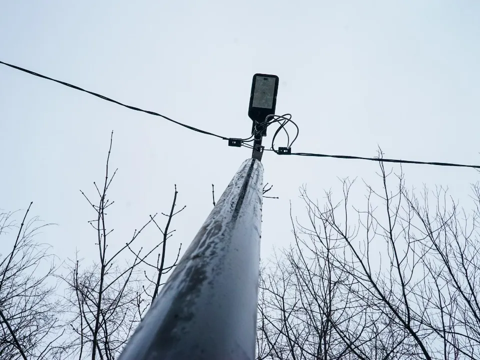 Фото: пресс-служба администрации г.о. Химки