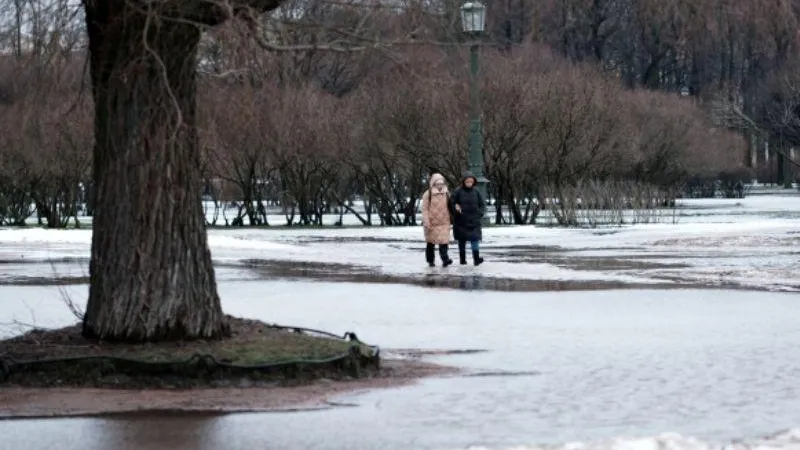 Эксперты посчитали, насколько подорожала жизнь в Санкт-Петербурге в 2023 году