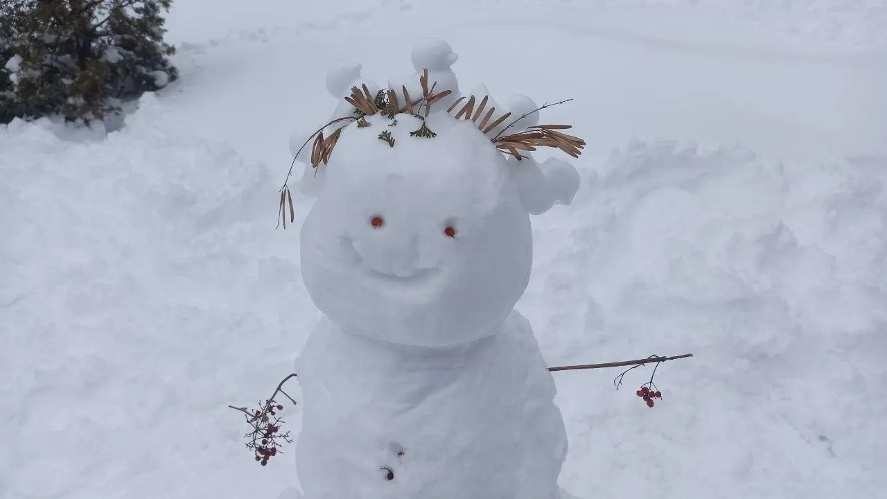 REGIONS/Эльвира Сафина