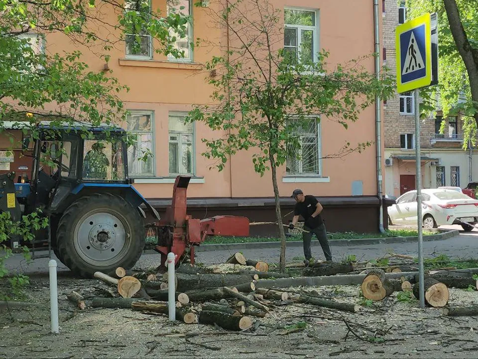 Фото: Наталья Лымарь