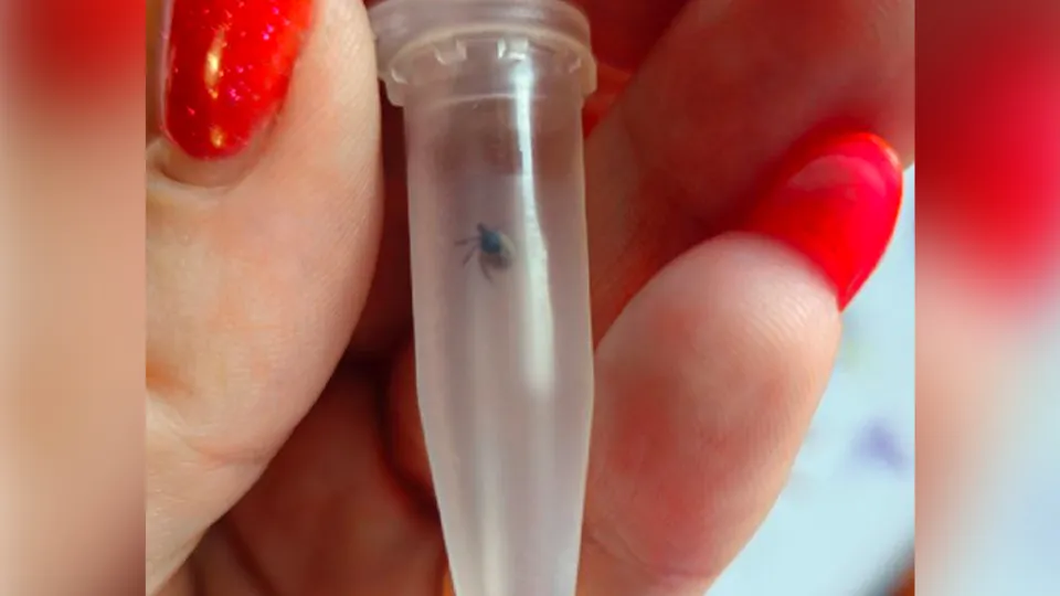 Фото: Раменская ЦРБ