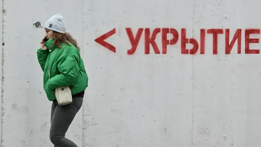 РИА Новости/Константин Михальчевский