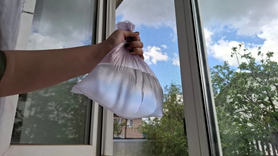 Фото: REGIONS/Юлия Габбасова