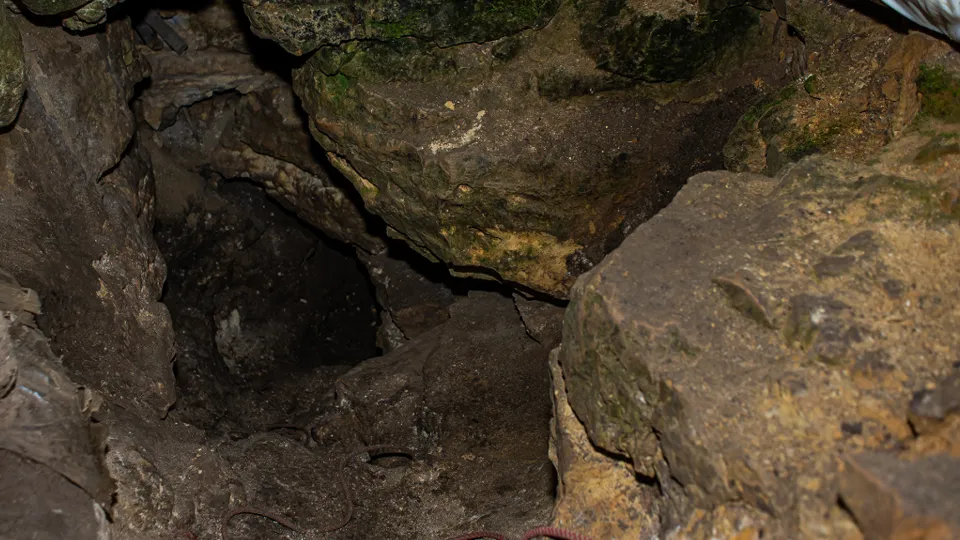 Фото: медиасток.рф