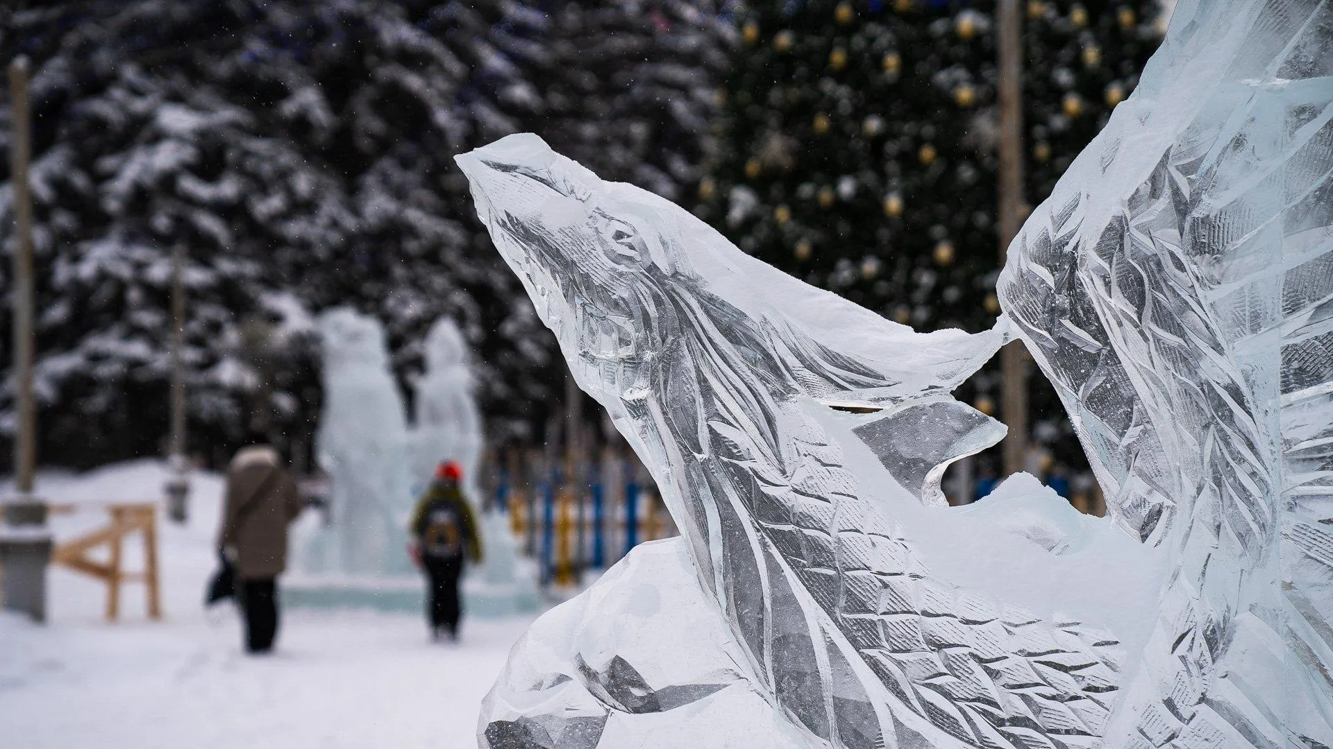 пресс-служба администрации городского округа Долгопрудный