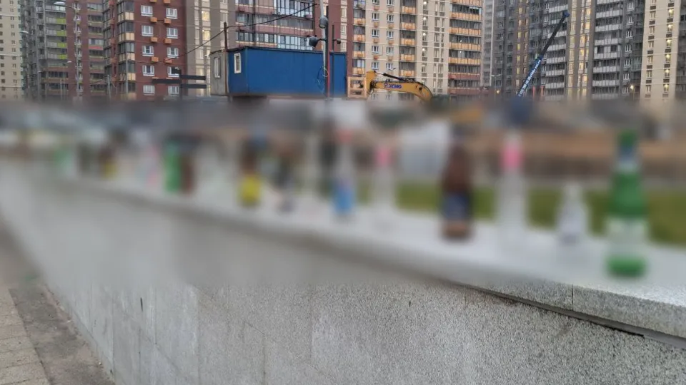 Фото: Алексей Медведев