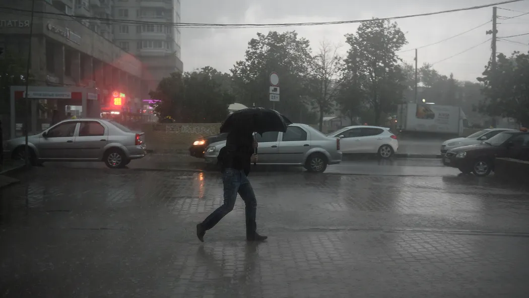 Фото: Медиаархив Подмосковья