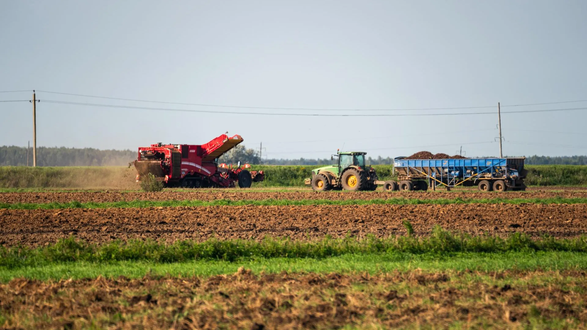 Рекордный урожай масличных культур собран в Рязанской области в этом году