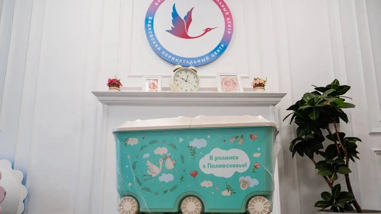 В Московской области выдали более 4 тыс. подарочных наборов «Я родился в Подмосковье!»