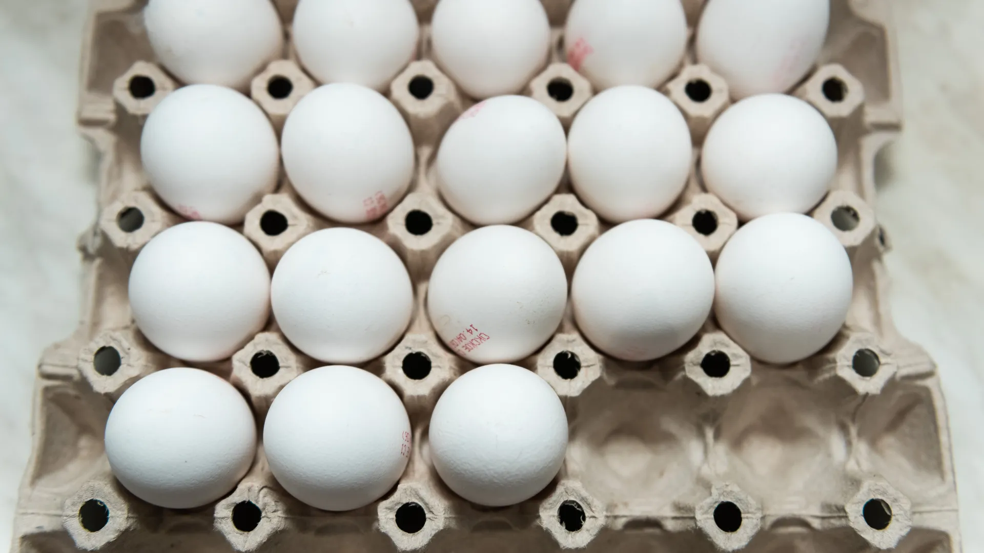 Смертельный вирус отправил в нокдаун одного из лидеров яичной отрасли России: продукцию массово изымают