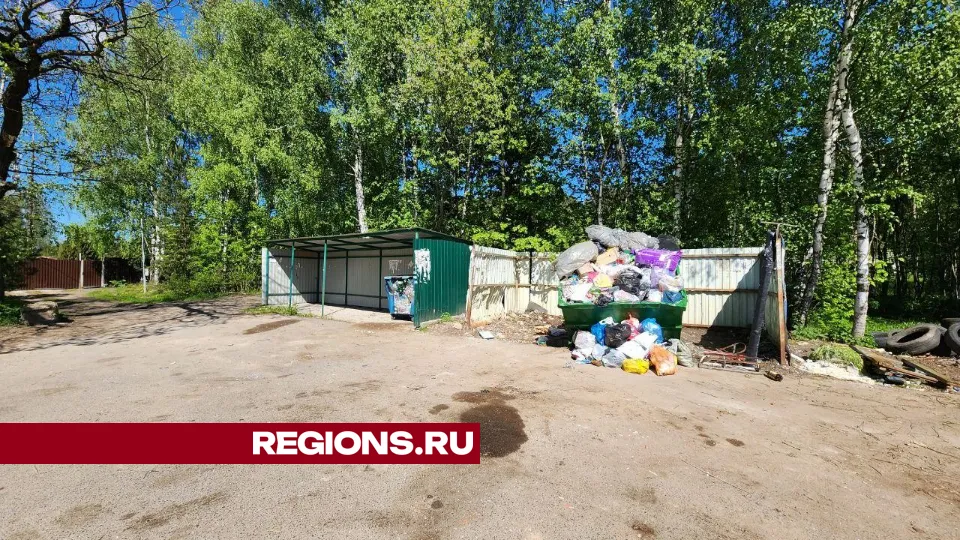 Фото: Елена Лабзина