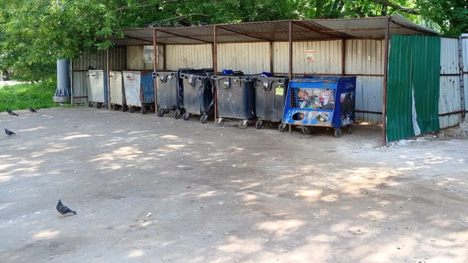 Фото: пресс-служба администрации г.о. Кашира