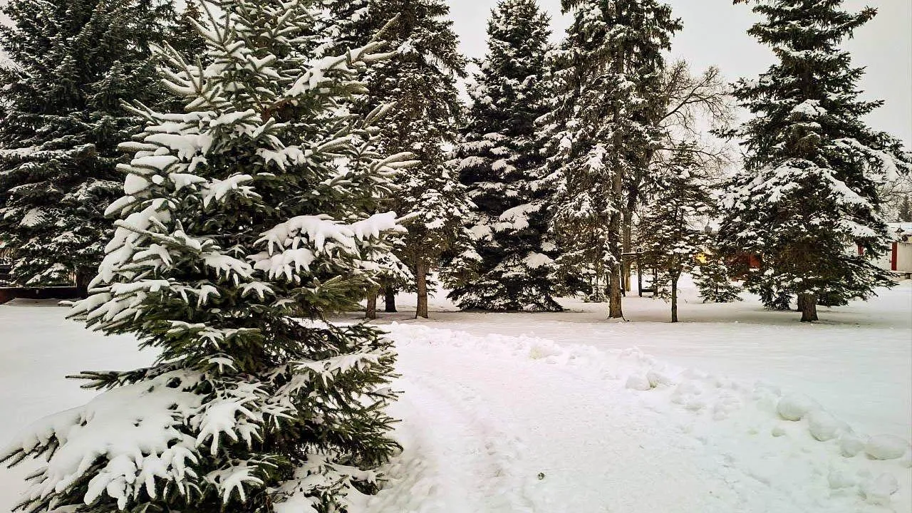 REGIONS/Юлия Габбасова