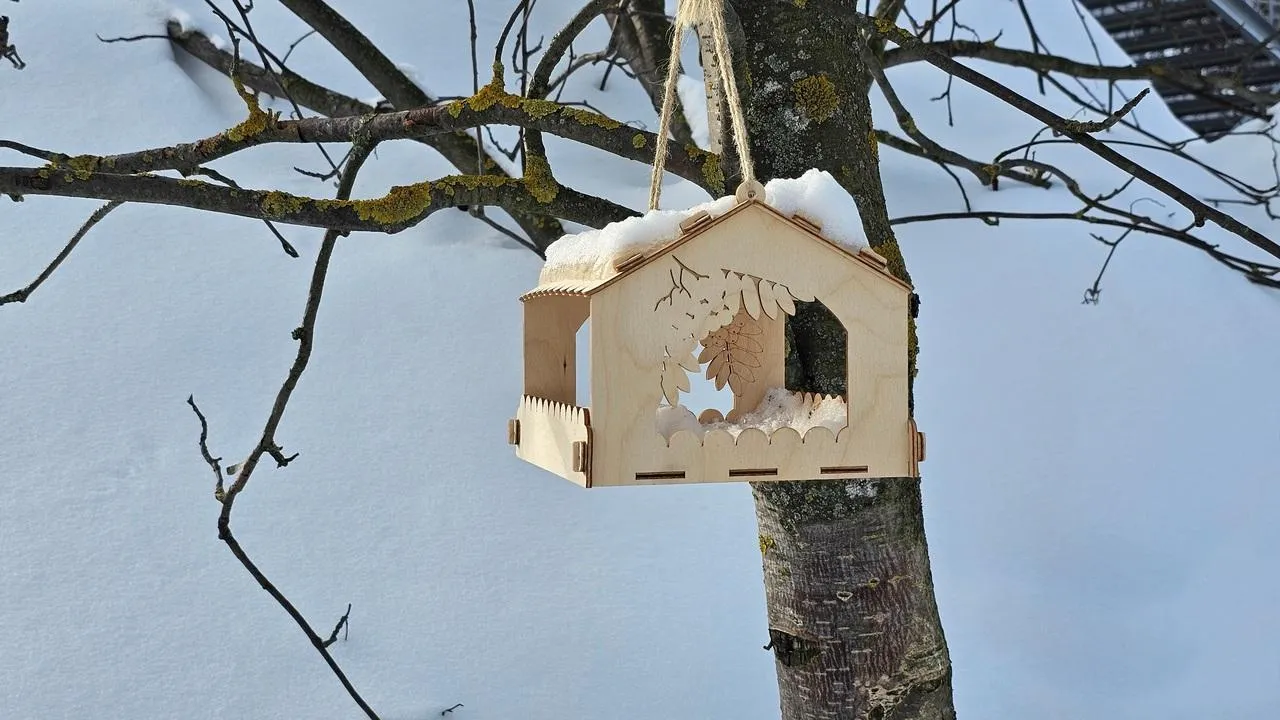 REGIONS/Александр Дрожжин