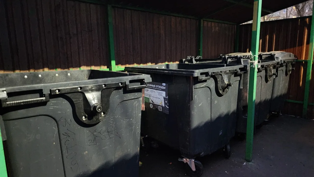 Фото: МедиаБанк Подмосковья/Наталья Дорошева