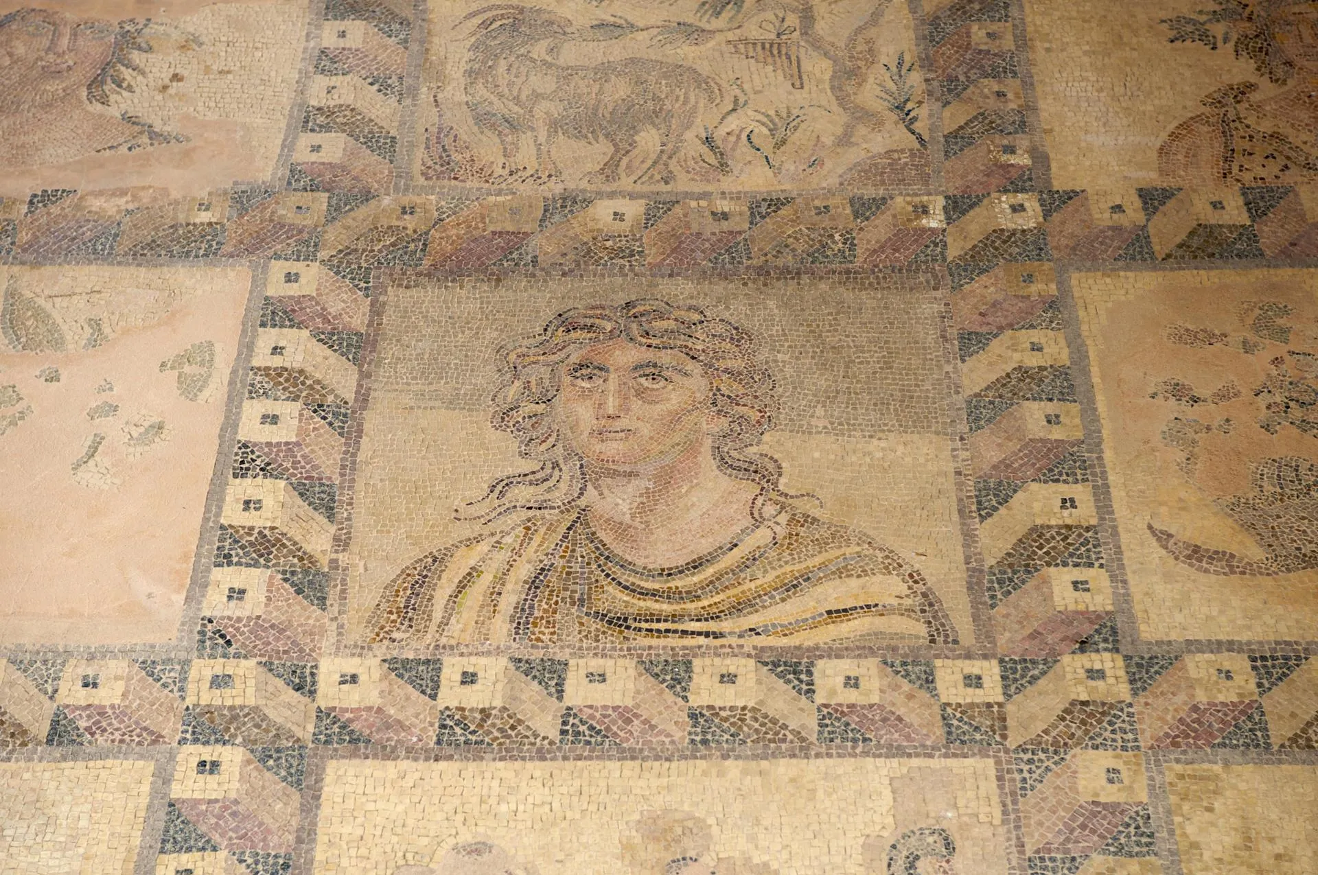 Katja Kreder/imageBROKER.com