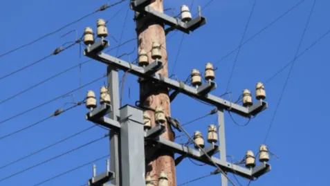 Фото: pxhere.com