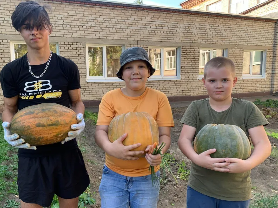 Фото: Министерство социального развития МО&nbsp;