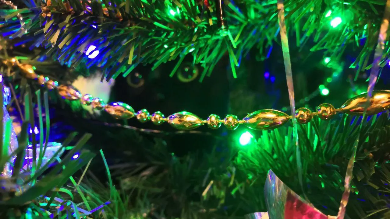 Фото: Максим Рассказчиков