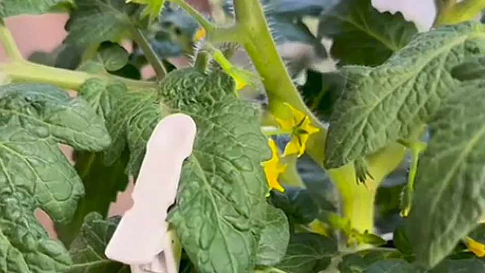 Фото: Алина Романова