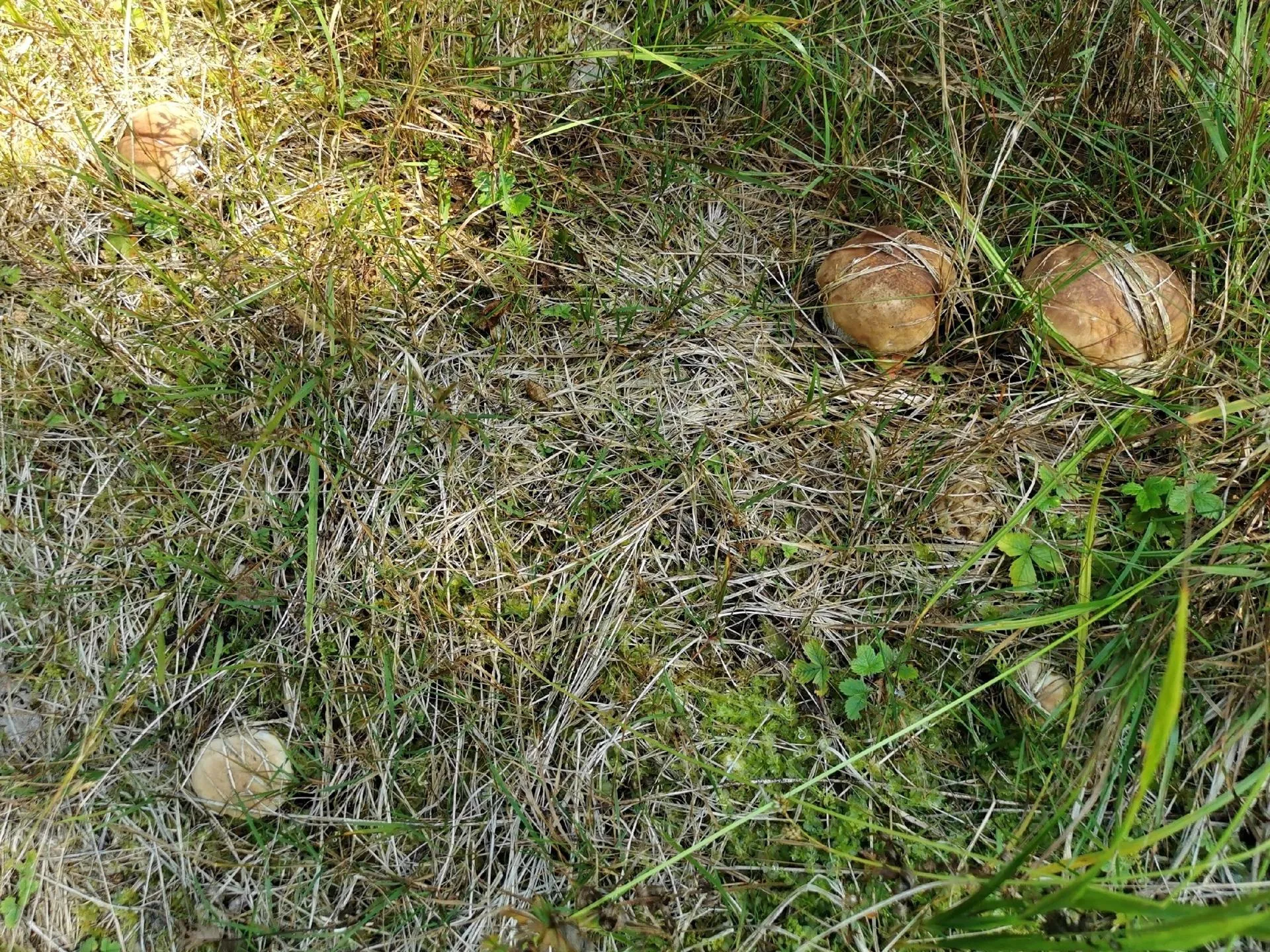 Талдом | Наш дом/ВКонтакте