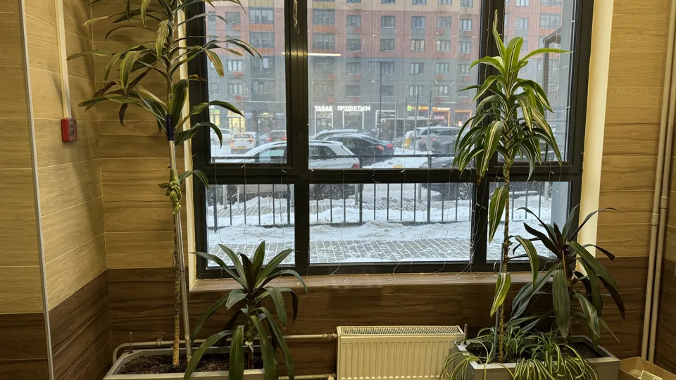 Фото: МедиаБанк Подмосковья/Полина Абраменко