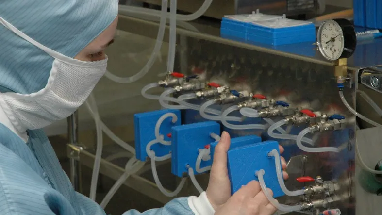 Фото: медиасток.рф