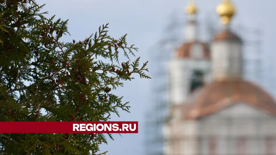 Фото: Дмитрий Зайчиков