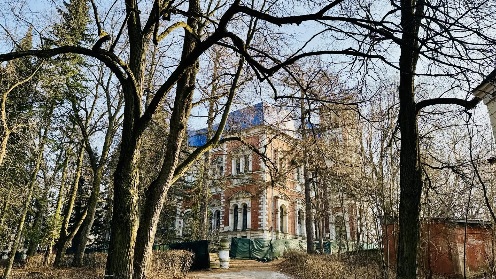 Фото: Ольга Стаферова