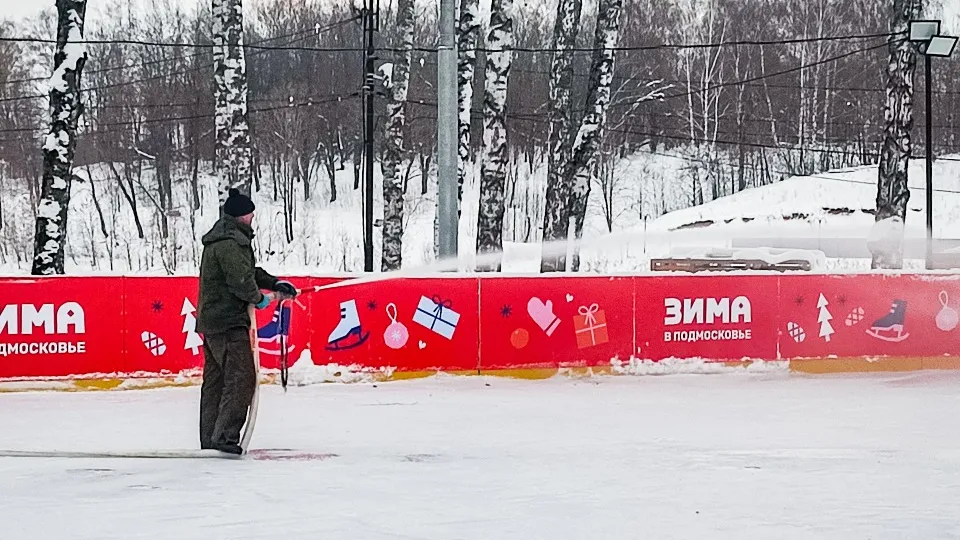Фото: МедиаБанк Подмосковья/Данила Кирьянов